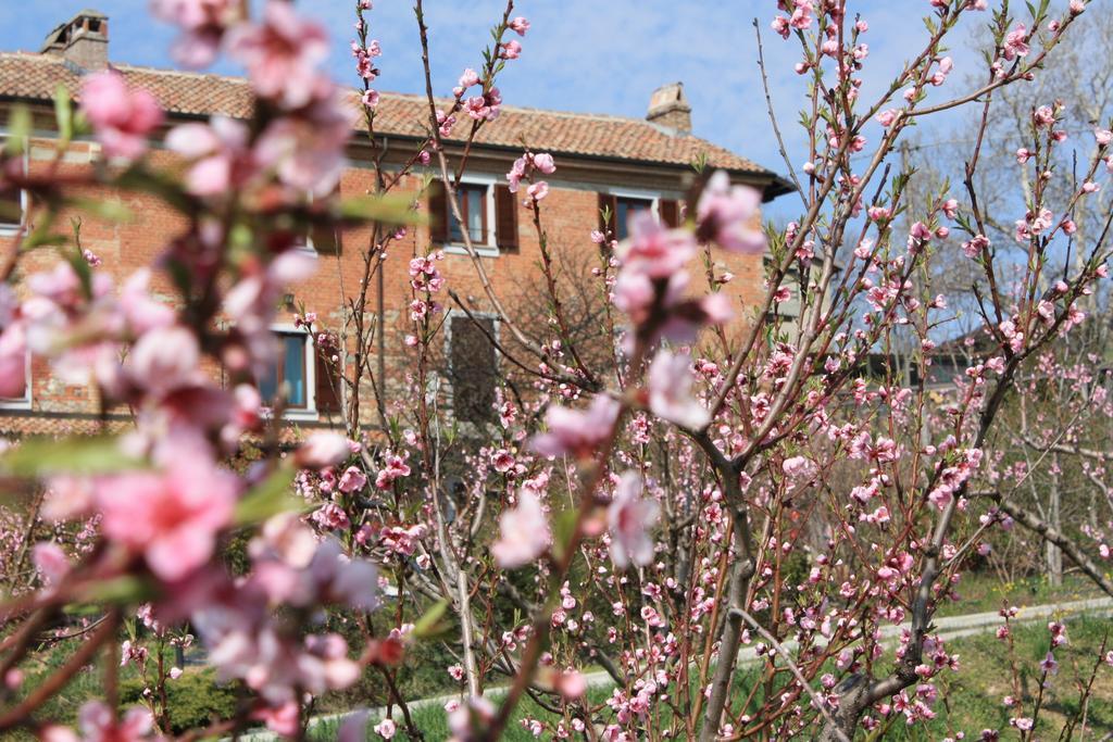 B&B Di Spineto Villaromagnano Exterior photo